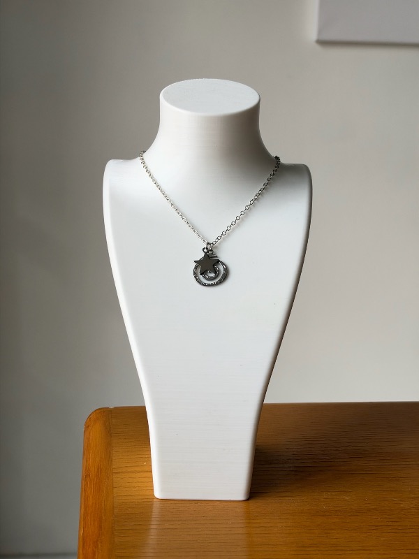 Collar espiral estrella plateado
