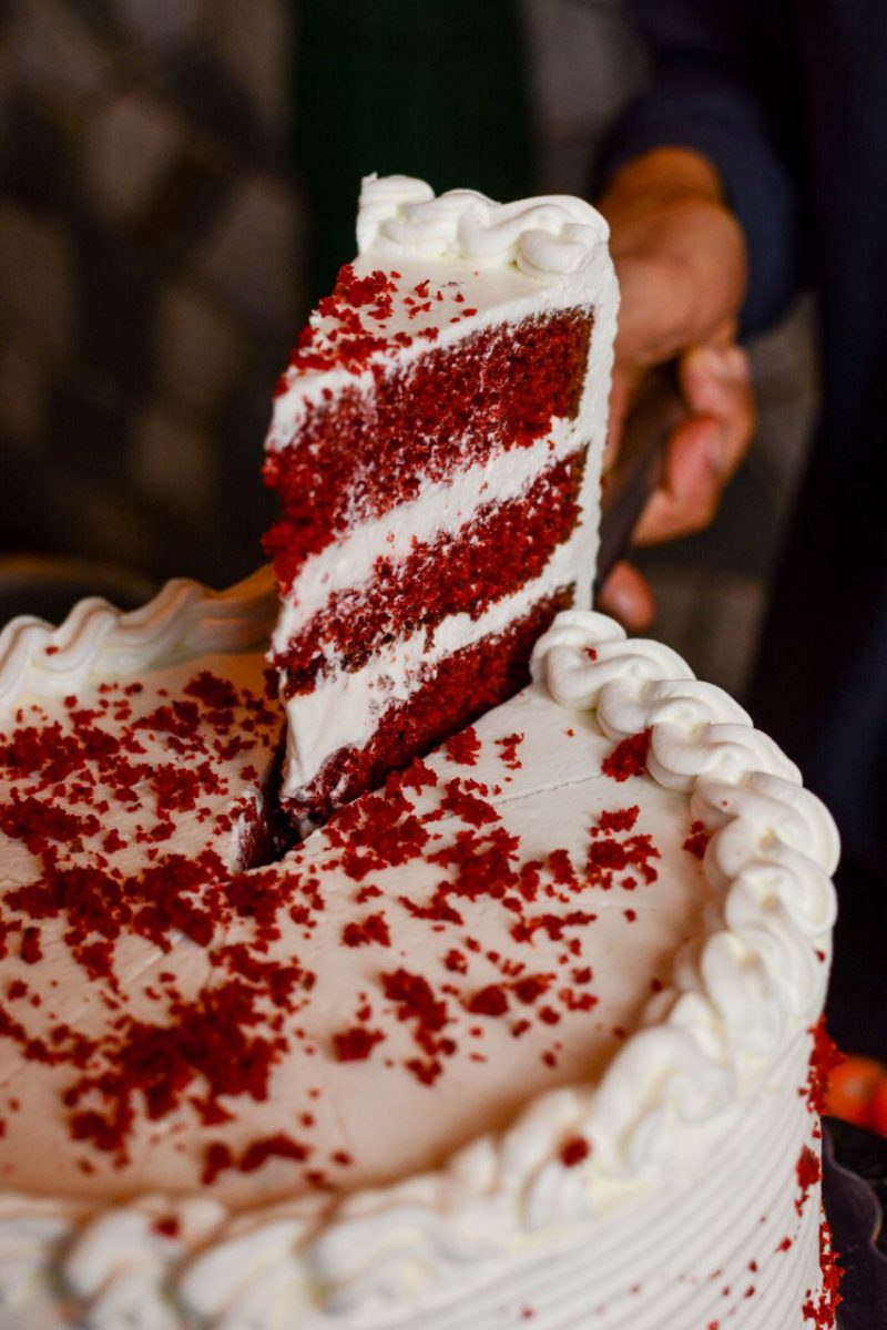 MINI RED VELVET